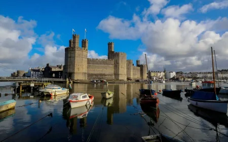 Six candidates set for Gwynedd Maldwyn Senedd race