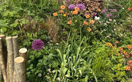 Ian McBain wins best in show at Rhs Malvern Spring Festival