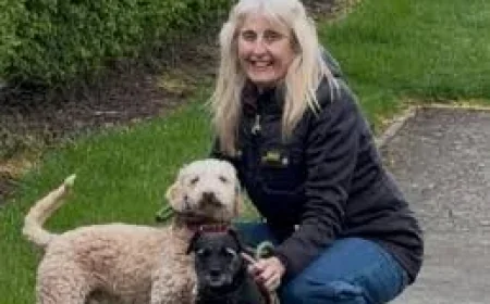 Leicester Family Rehomes 250 Poodle Cross Dogs Rescued Winston