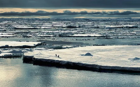 University of Southampton Study Explains 2023 Antarctic Sea Ice Low