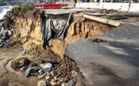 Goldfinger Says Cascadia Quake Could Trigger San Andreas Fault
