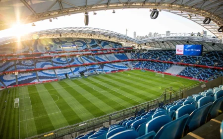 Sydney Fc Vs Newcastle Jets Semi-final First Leg At Allianz Stadium