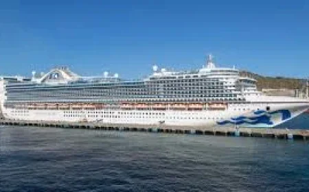 Princess Cruises reports Norovirus outbreak sickening 115 on Caribbean Princess