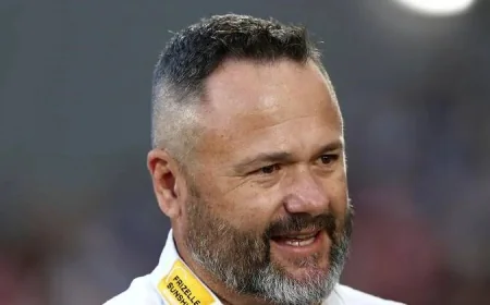 Craig Fitzgibbon backs Lenihan as Huddersfield appoints new head coach