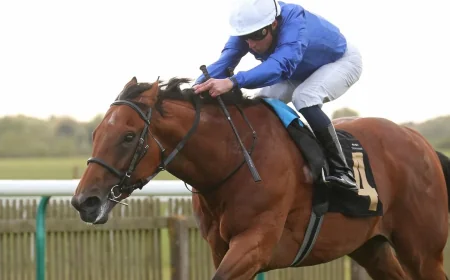 Maho Bay and Maltese Cross Test Derby Claims at Lingfield Races