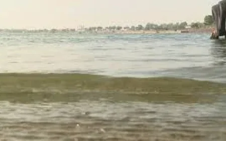 Four Great Lakes levels to stay above last year, Corps says