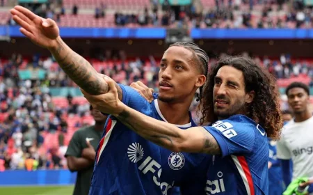 Fernandez Sends Chelsea Into Fa Cup Final With 1-0 Win