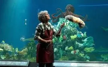 Sally Field Anchors Remarkably Bright Creatures Movie on Netflix