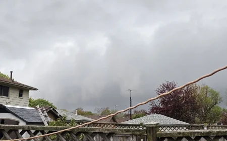 Tornado Warning In Ontario Triggers Urgent Shelter Alert For Sarnia-Lambton