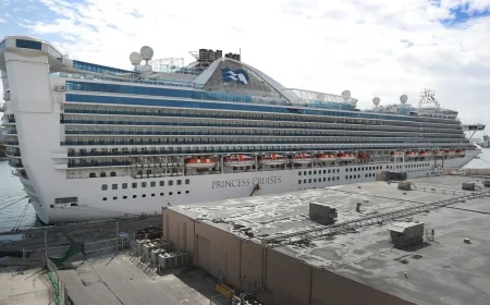 Princess Cruises fait face à 115 cas d’épidémie à Norovirus
