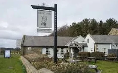 Snowy Owl in Cramlington ranks in top ten dog-friendly venues