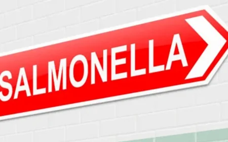 Belgian committee examines Salmonella rule changes — Food Safety News