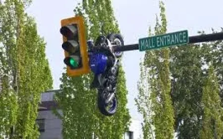 Delta Police Report Motorcycle On Traffic Light After Scott Road Crash