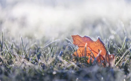 Southern Ontario frost advisory warns of -4 C Weather Warning