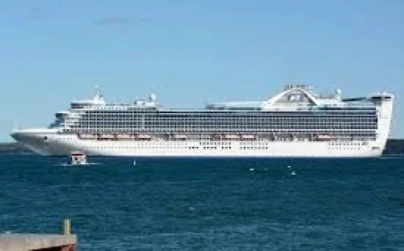 Princess Cruises says 115 sick in Caribbean Princess norovirus outbreak
