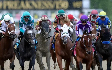 Taj Mahal draws rail, opens at 5-1 for Preakness 2026 Horses