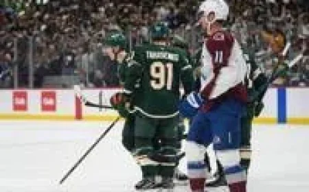 Herald Journal Blocks EEA Access Over GDPR — Wild Hockey