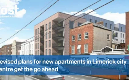 Limerick councillors back city task force request to Martin and Harris