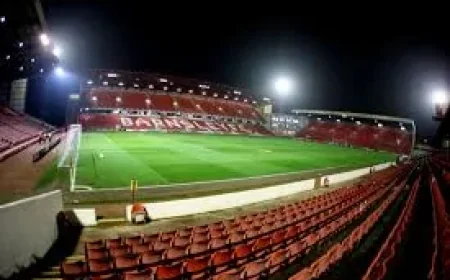Daniel Stendel Returns to Barnsley as Head Coach