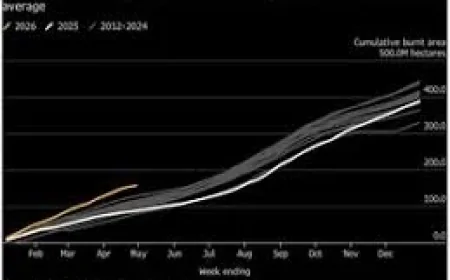 El Niño Weather Drives Worst Start to Wildfire Year