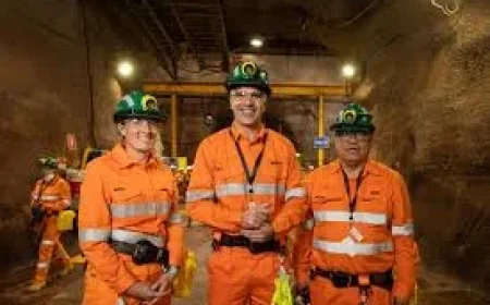 Bhp Share Price Gains Appeal as Copper Beats Gold