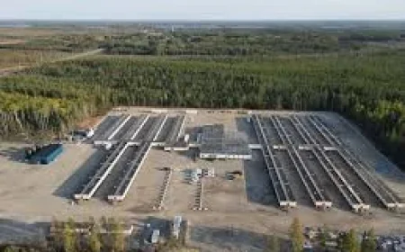 Equinox Gold Agrees to Buy Orla Mining for US$5.1 Billion