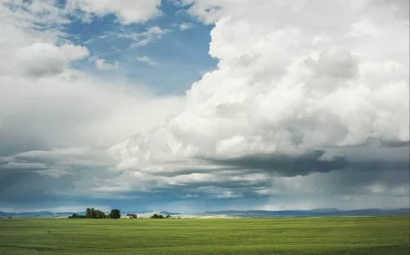 Weather Calgary: Alberta faces 70-90 km/h gusts Thursday afternoon
