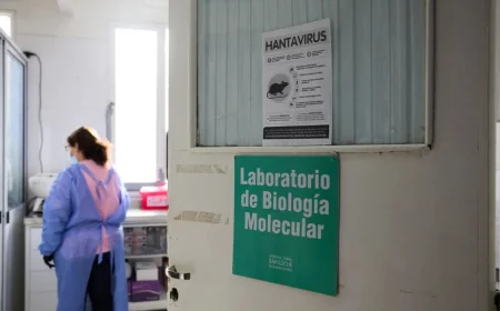 L’OMS juge faible le risque mondial de l’épidémie Hantavirus