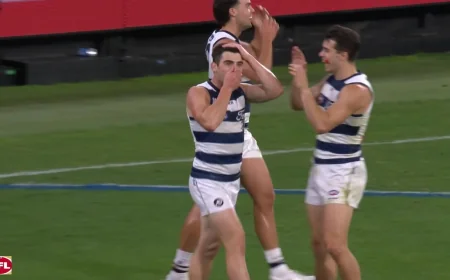 Shaun Mannagh channels Akermanis celebration in Geelong's 54-point win
