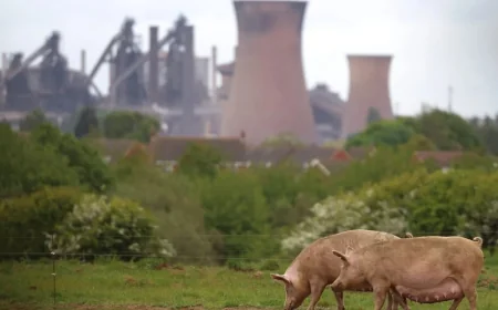 Keir Starmer Issues China British Steel Nationalization Warning Before Wednesday