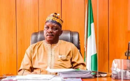 Saleh Mamman Sentenced to 75 Years for Laundering 33.8bn Naira