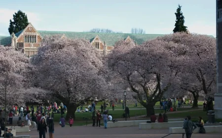 Chloe Cole postpones UW TPUSA event after safety concerns