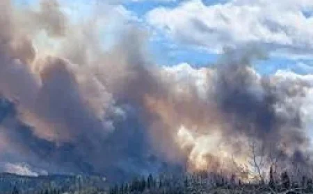 Evacuation alert issued near Sundre Fire as blaze grows