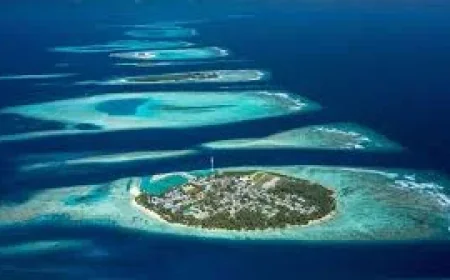 Five Italians Die in Vaavu Atoll Dive Accident