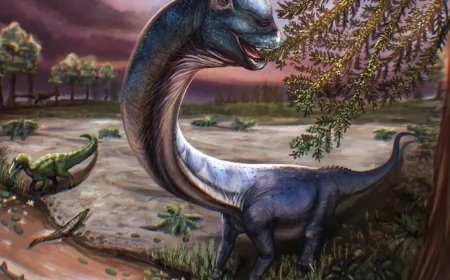 Scientists identify 30-ton Thailand Dinosaur Nagatitan chaiyaphumensis