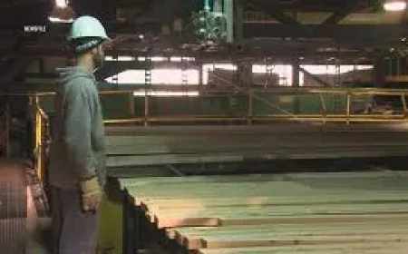 Hodgson announces $12.4-million for British Columbia forestry projects