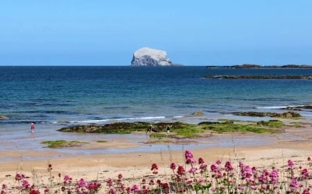 North Berwick tops Scotland seaside towns ahead of Tobermory