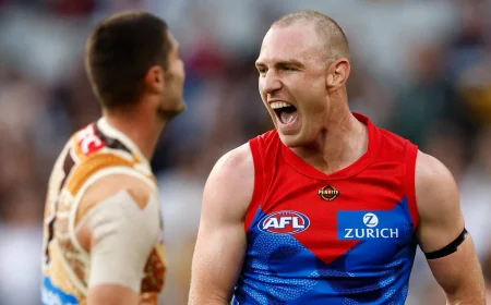 King guides Narrm past Hawks by 39 points at the MCG