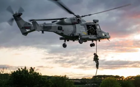 Royal Marines Seize Vehicles in Salisbury Plain Training Raid