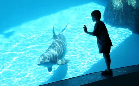SeaWorld offers up to 55% off Seaworld Orlando tickets through May 17
