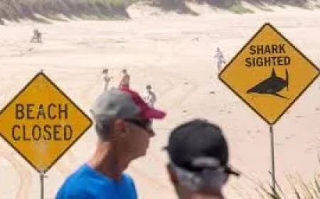 Great White Shark Kills 38-Year-Old Near Rottnest Island