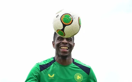 Hallgrímsson Sends Nine Uncapped Players Into Ireland Vs Grenada