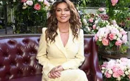 Shania Twain Limits ACM Outfit Changes on Harry Styles Tour Night