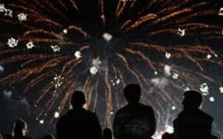 Toronto Police Increase Beach Presence for Monday Fireworks Near Me