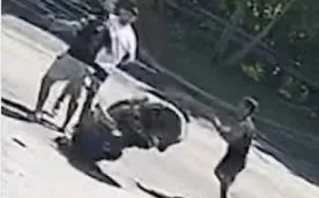 Pitbull Brothers Clash With Asim Zaidi Over Karate Combat 61 Brawls