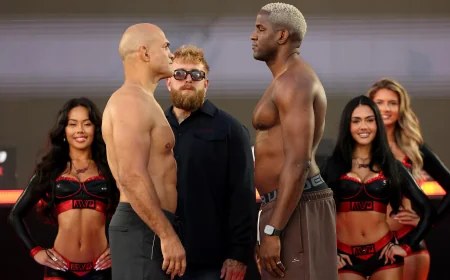Robelis Despaigne Knocks Out Junior dos Santos in Round 1
