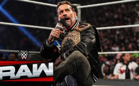 Cm Punk Removed From European Summer Tour Advertising