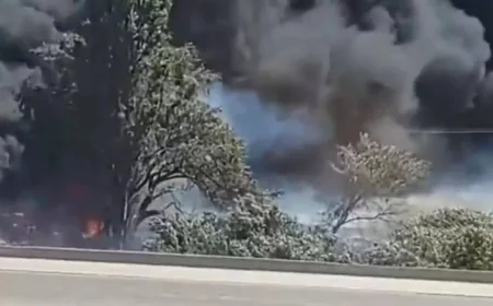 Corral Fire Reported in Los Angeles County on Friday — Wildfire