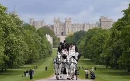 Soldier Dies After Fall at Royal Windsor Horse Show