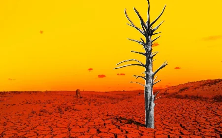 NOAA projects 4.5 degrees above normal by November — Channel 3000 Weather